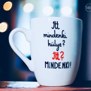 Itt? Mindenki! (Itt mindenki hülye? -Itt? Mindenki!)