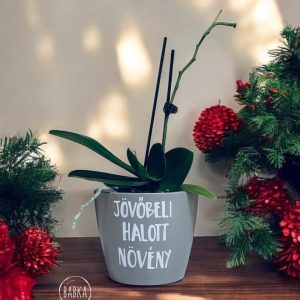 Jövőbeli halott növény (szürke-limitált) (kaspó)