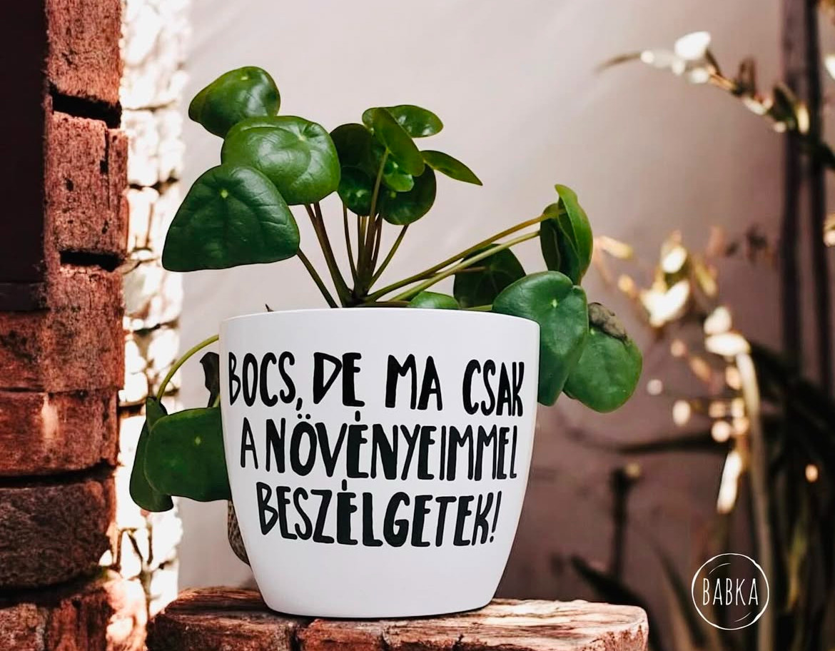 Bocs, de ma csak a növényeimmel beszélgetek! (kaspó)