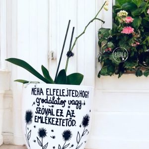 Csodálatos vagy! (kaspó)