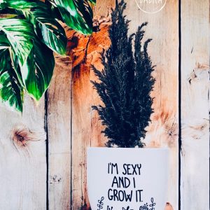 I'm sexy and I grow it (kaspó)