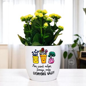 "Nem számít milyen formájú vagy" kaspó