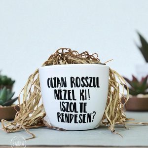 Iszol te rendesen? (kaspó)