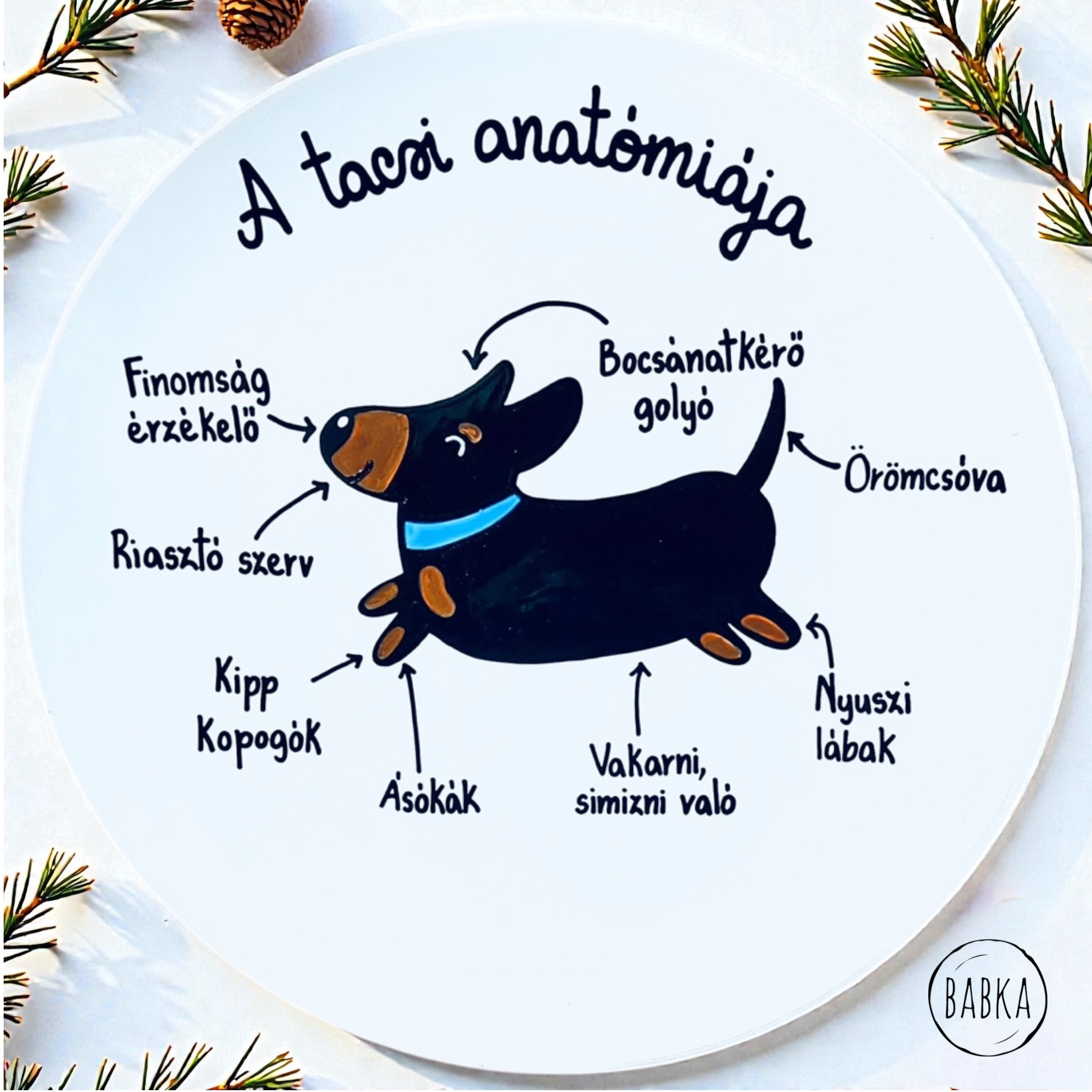 A tacsi anatómiája
